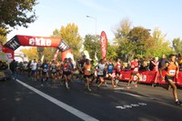 Andrés Mico i Mireia Sosa, guanyadors de la Mitja Marató Ciutat de Lleida