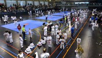 Campionat Provincial de Taekwondo Infantil i adult