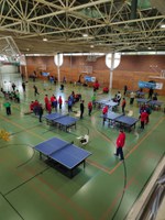 Federació Acell - XIX Campionat territorial de tennis taula i bàdminton