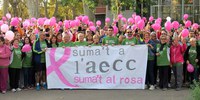 Lleida es mobilitza contra el càncer de mama