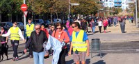 Unes 300 persones caminen a Lleida per la diabetis